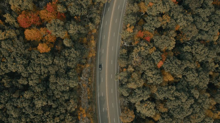clay-banks-tCve83-KgaE-unsplash